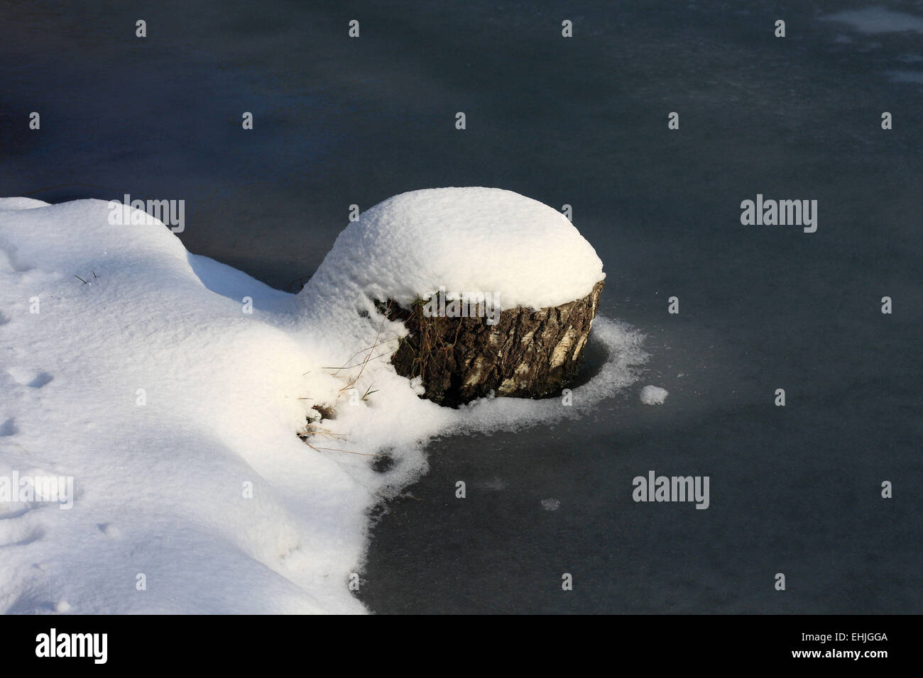 Snow covered tree stump in a pond Stock Photo