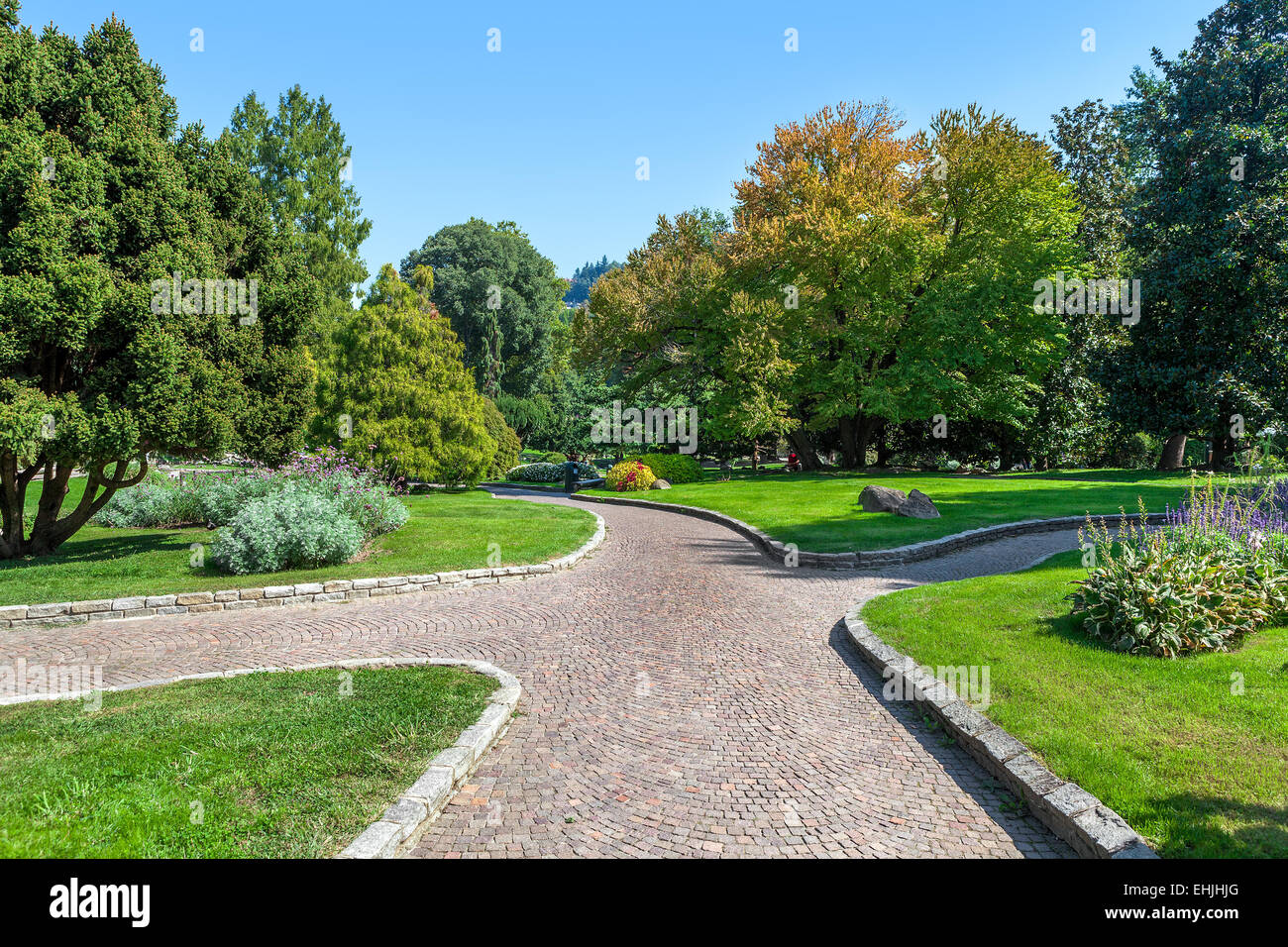 Paved walkway among green lawns and lush trees of Valentino Park in ...