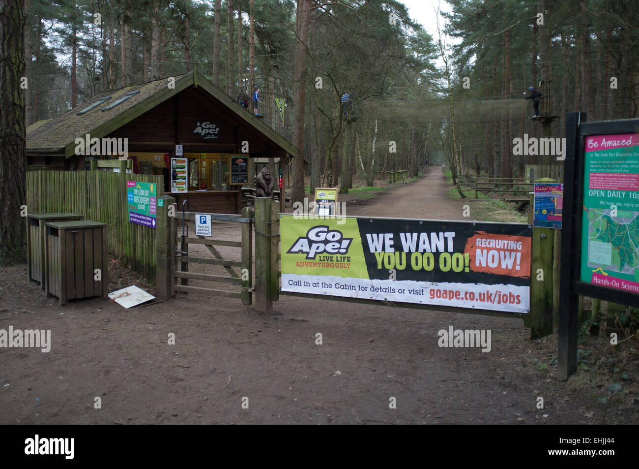 Go Ape At Swinley Forest Bracknell Stock Photo Alamy Go Ape At Swinley Forest Bracknell Stock Photo Alamy