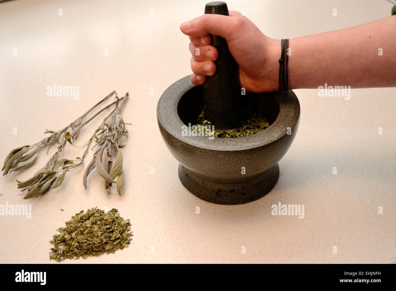 culinary herbs and mortar Stock Photo