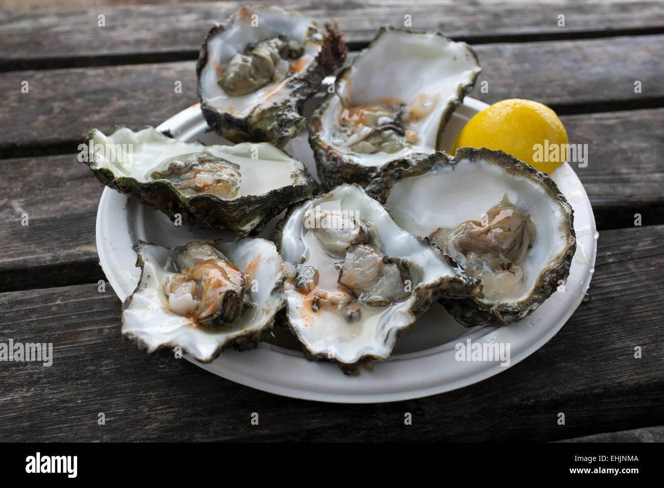 Plate of Half Dozen Oysters with Lemon Stock Photo
