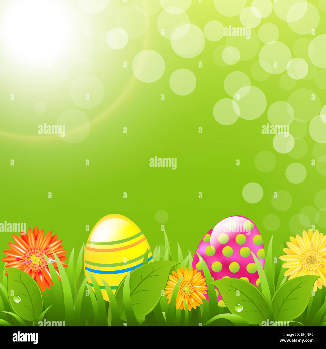 Green Border With Grass And Color Eggs Stock Photo - Alamy