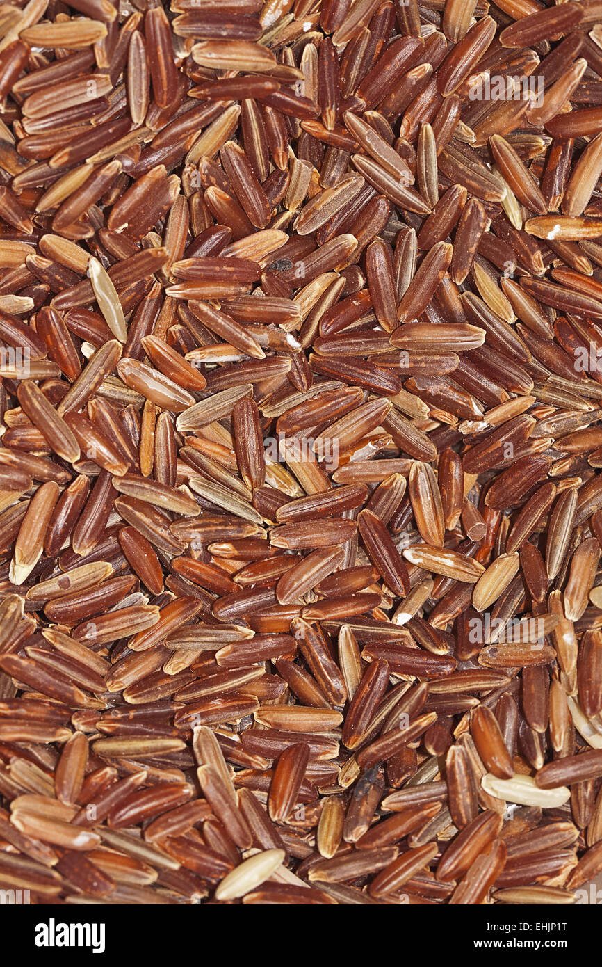 Organic Rice Stock Photo