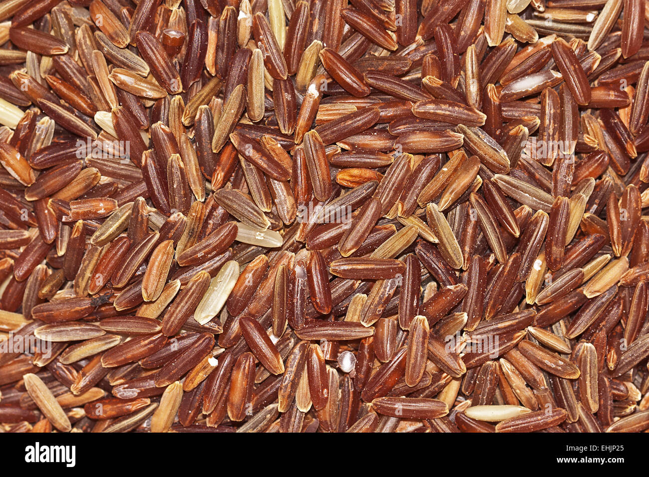 Organic Rice Stock Photo