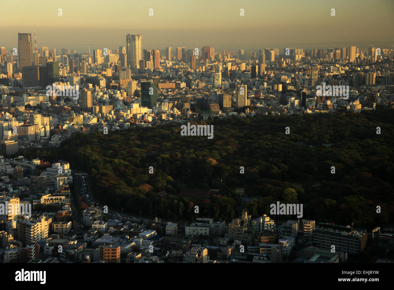Cityscape of Tokyo with Yoyogi park in foreground. Tokyo. Japan Stock Photo