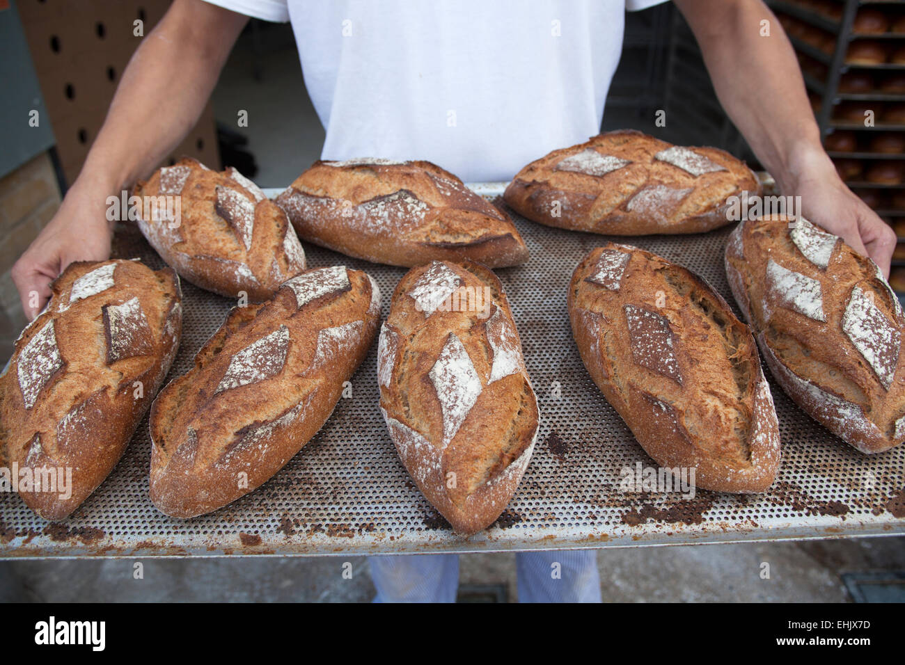 Baker holding a tray of loaves of freshly baked wholemeal bread Stock Photo