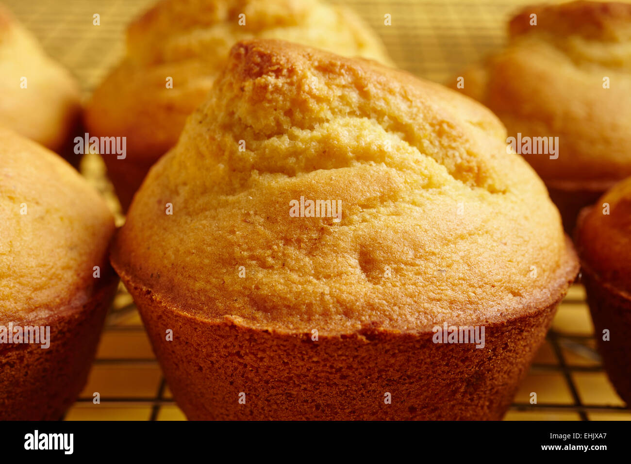 home baked corn muffins Stock Photo