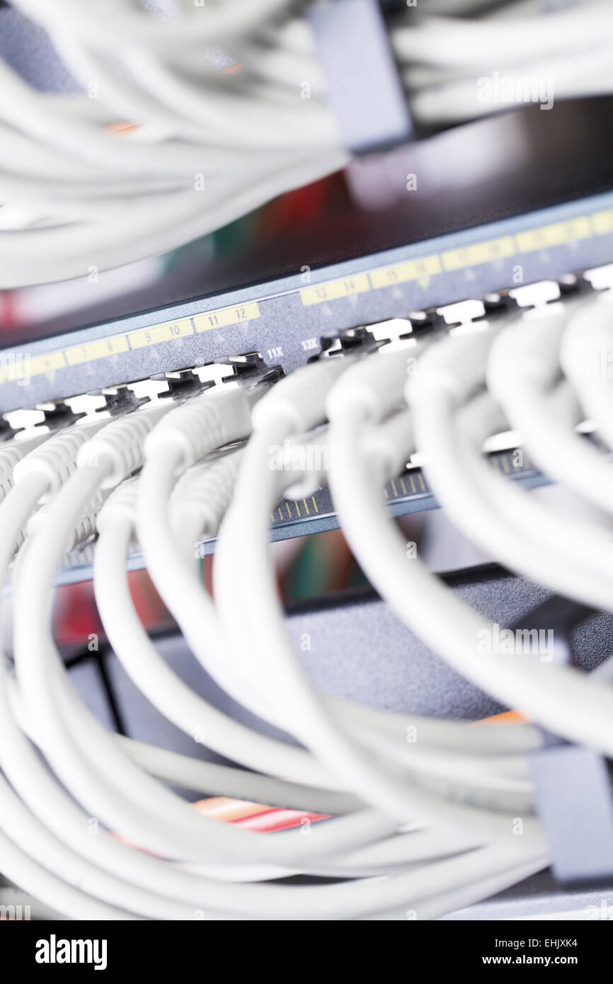 Close up of a gigabit switch with cat 5, 5e, 6 patch cables connected Stock Photo Alamy