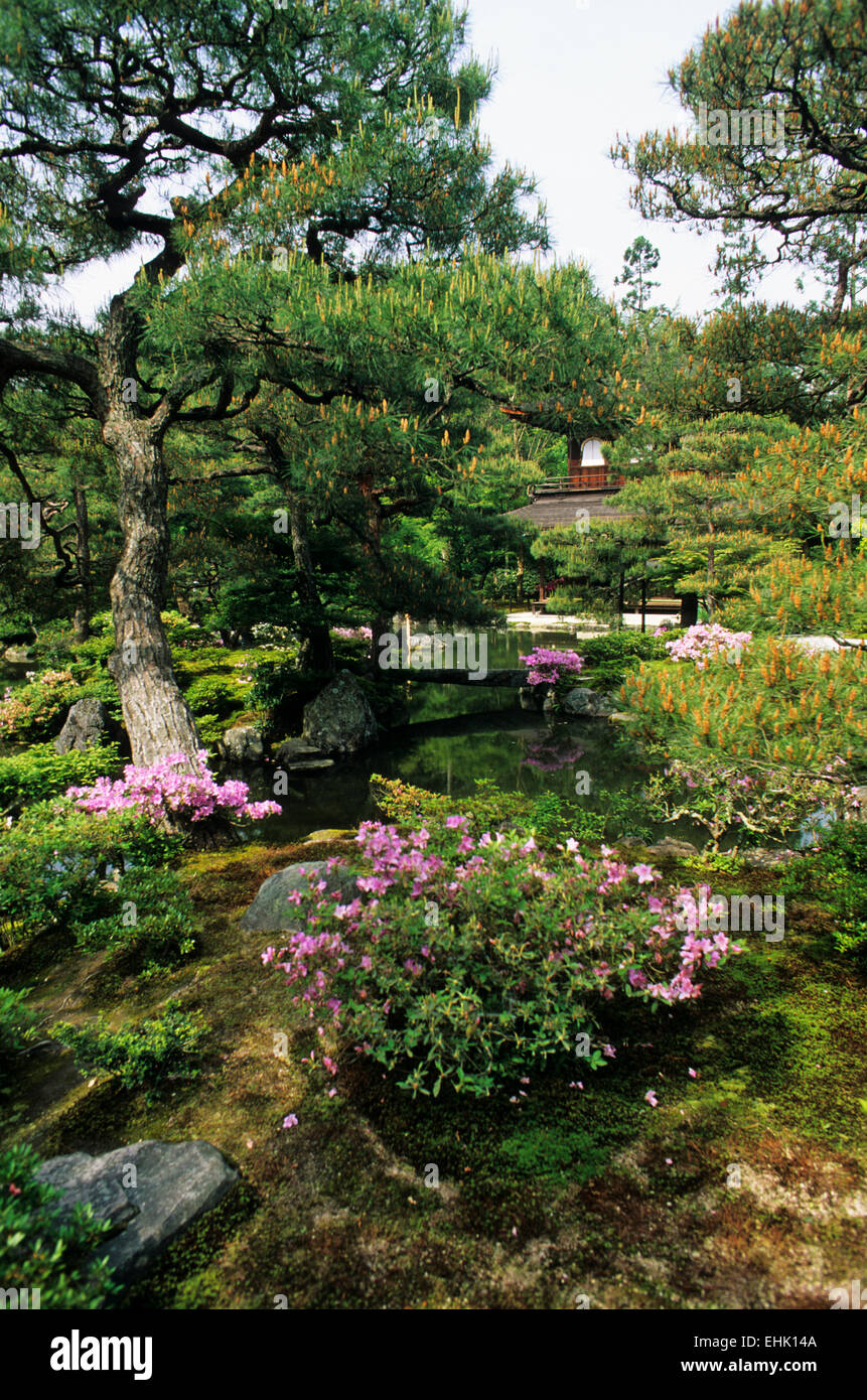 The City of Kyoto is a unique reserve for ancient Zen gardens and shrines that are over nine hundred years old. Stock Photo
