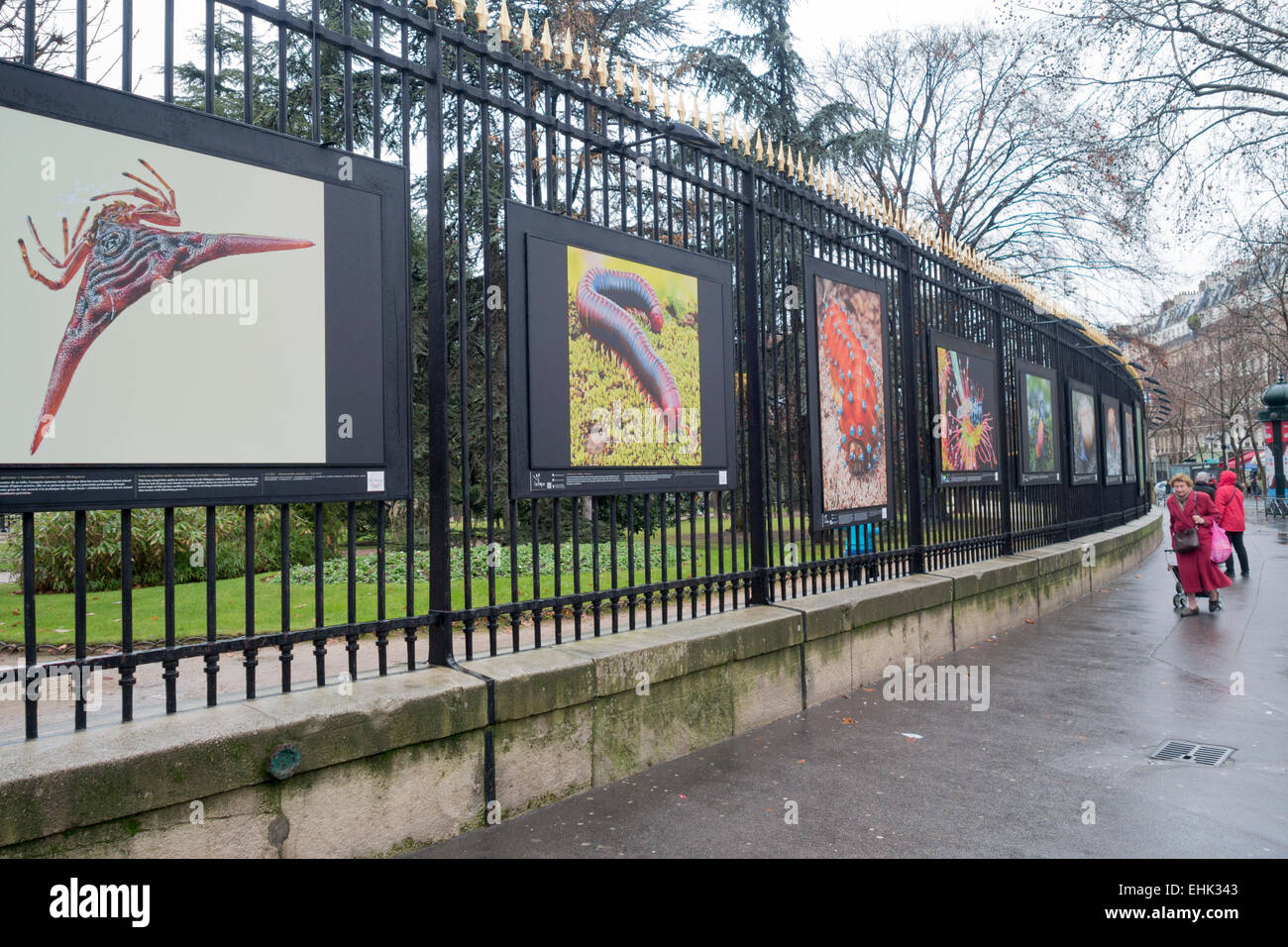 Photography exhibition on the iron railings of the Jardin du Luxembourg, Paris Stock Photo