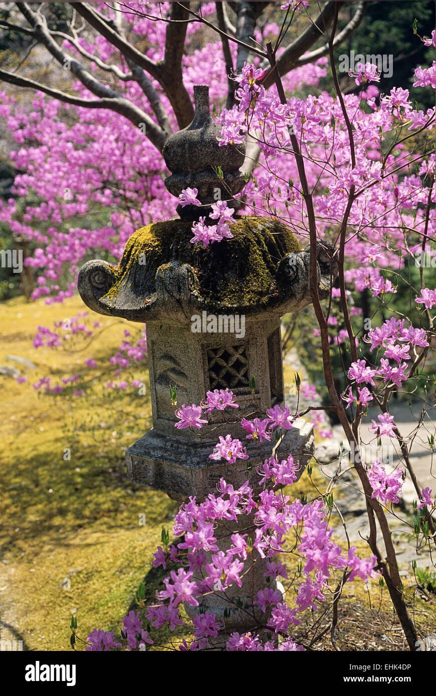 Japanese stone lanterns were functional ornaments and are still kept in