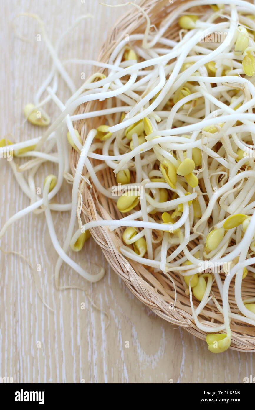 Bean Shoots High Resolution Stock Photography and Images Alamy