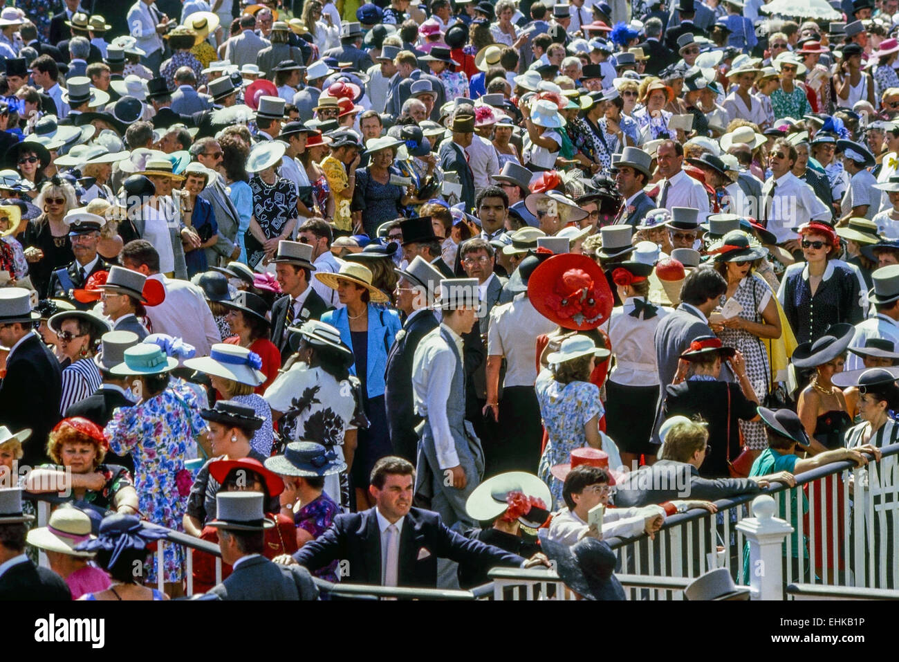 Crowds in the Royal enclosure on Ladies Day at the horse racing at the Royal Ascot. Ascot. Berkshire. England Stock Photo