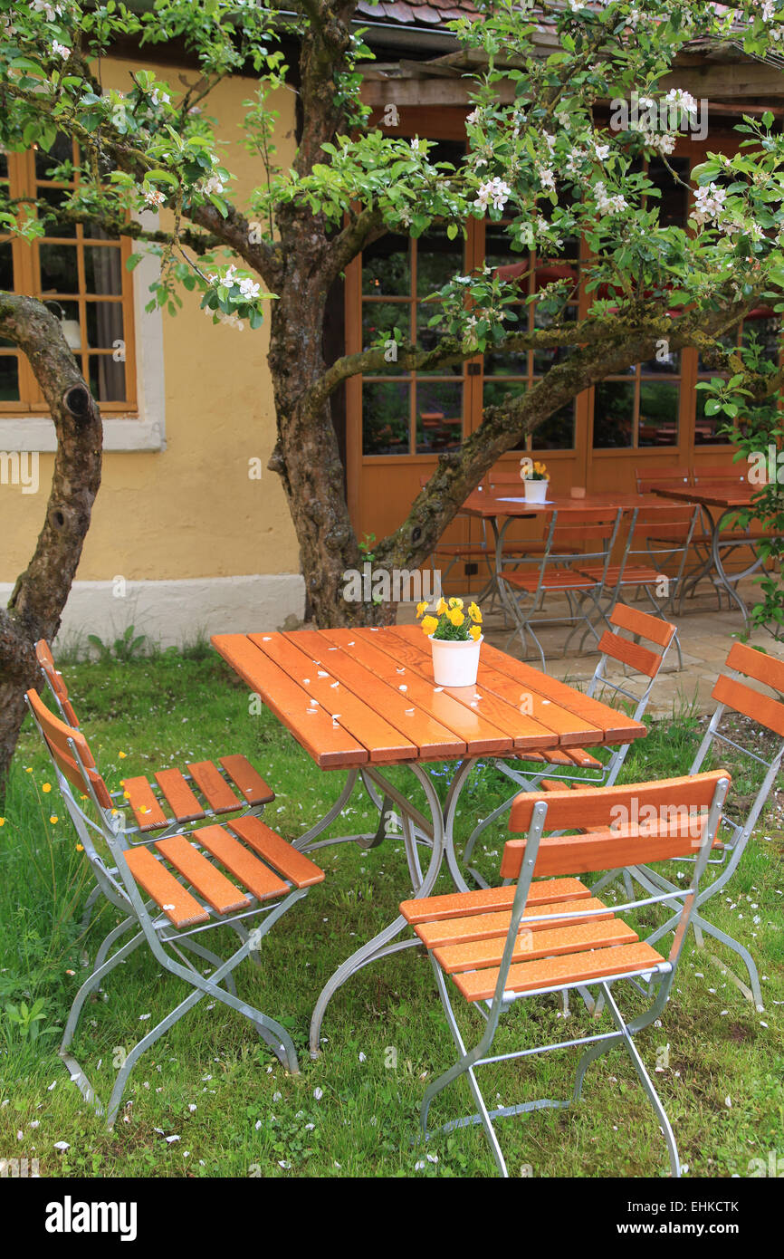 Wooden chairs and table under blossoming apple tree Stock Photo