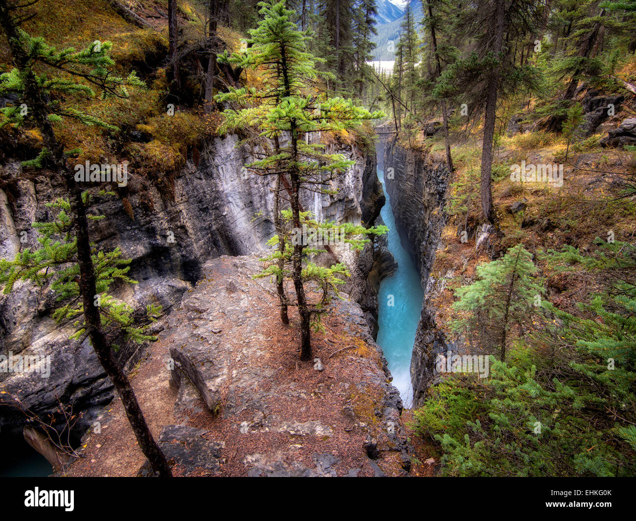 Canyon in Beauty Creek. Jasper National Park, Alberta, Canada Stock Photo