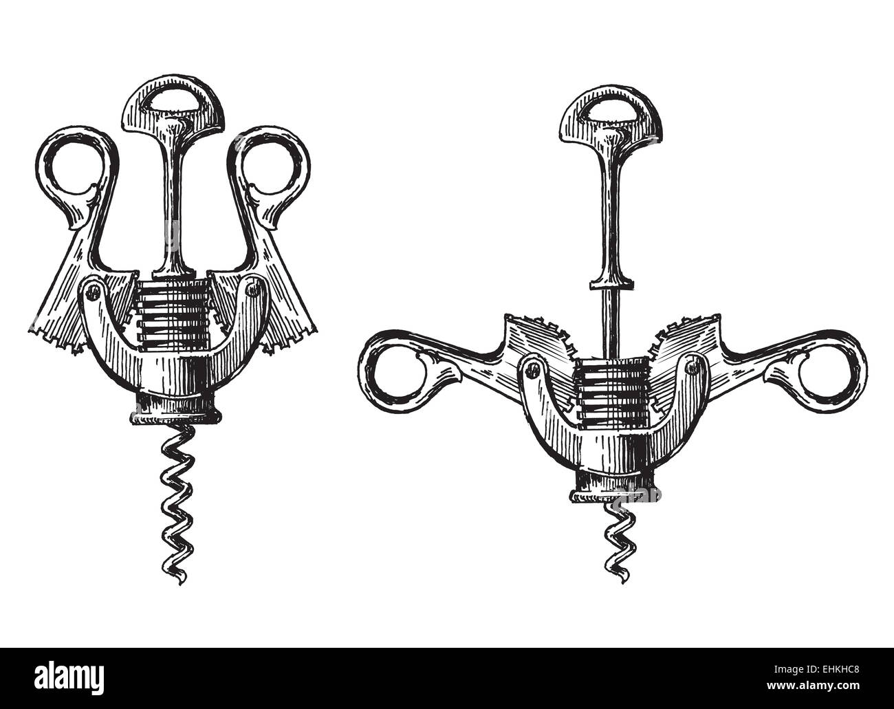 corkscrew on a white background. illustration, sketch Stock Photo Alamy