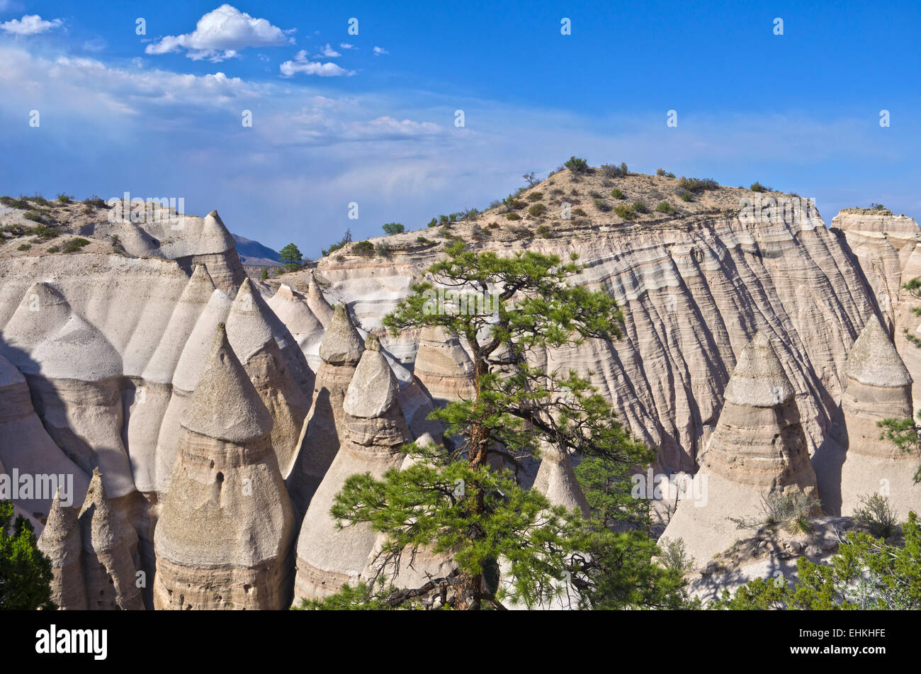Kasha-Katuwe Tent Rocks National Monument in New Mexico.  A tree stands amid the hoodoos, beneath a blue sky. Stock Photo