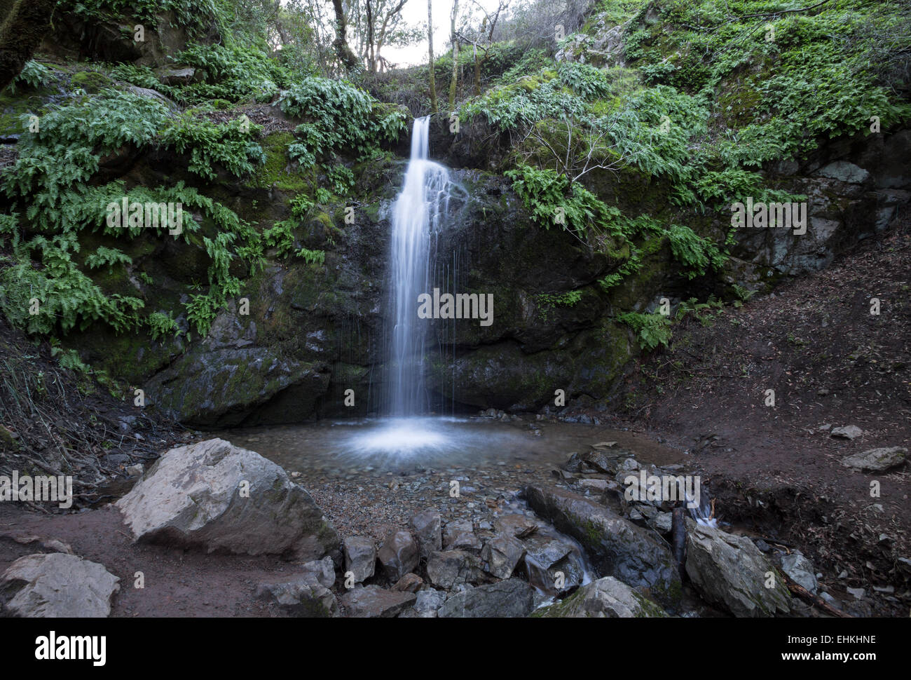 hiking trail, Arroyo de San Jose Waterfall, Arroyo de San Jose, waterfall, Novato, Marin County, California, United States Stock Photo