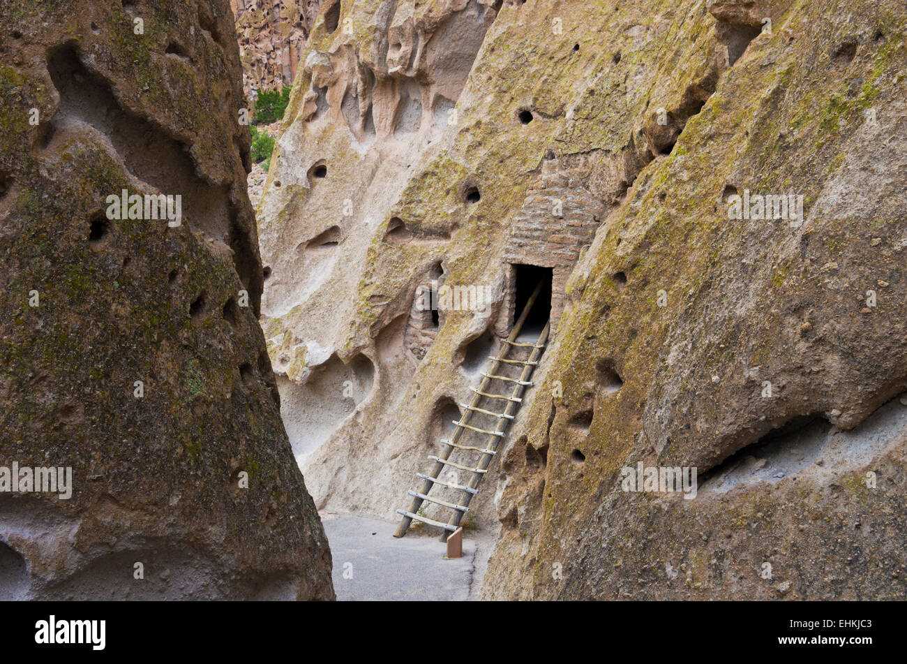 Bandelier National Monument, New Mexico, United States. Ladder going to