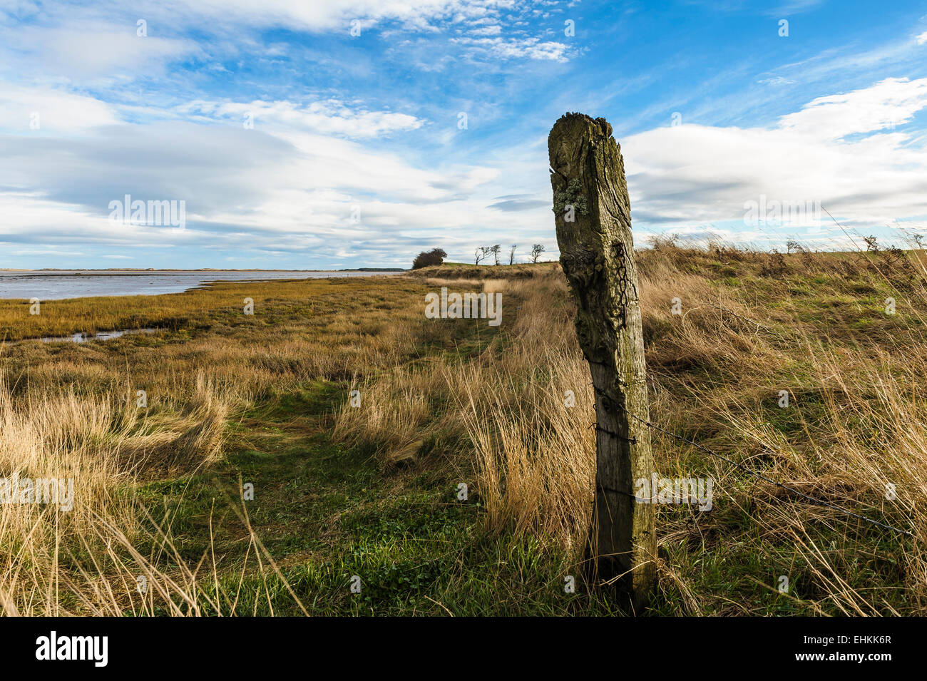 Old weather beaten fence post on the shoreline. Stock Photo