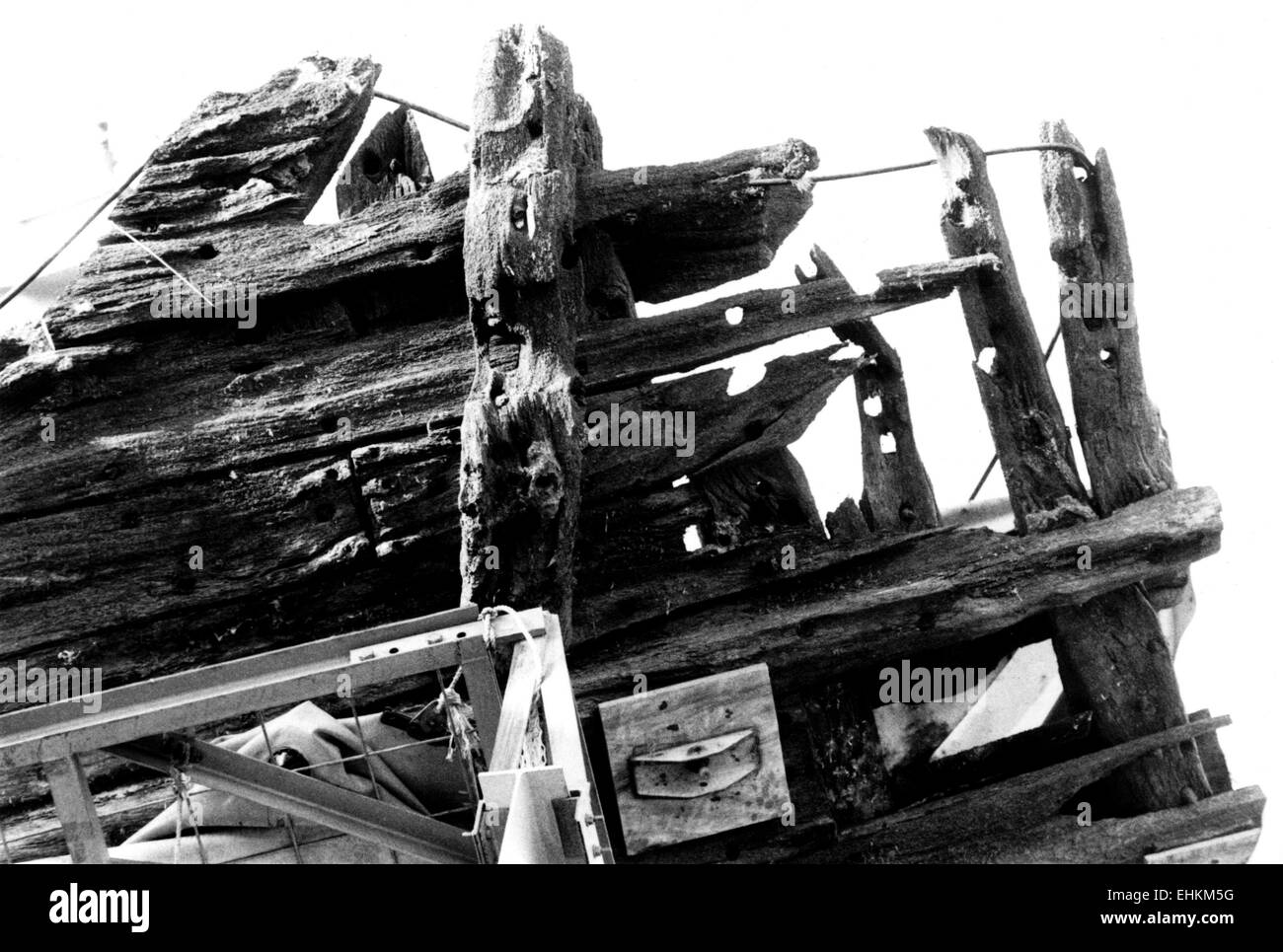 AJAXNETPHOTO. 8TH DECEMBER, 1982. PORTSMOUTH,ENGLAND. - TUDOR WARSHIP COMES HOME - THE REMAINS OF HENRY VIII'S TUDOR WARSHIP MARY ROSE RECOVERED FROM THE SOLENT SEABED ON 12/10/82 SHOWS PART OF THE BOW SECTION TIMBERS.  PHOTO:SIMON BARNETT/AJAX REF:821208 10 Stock Photo