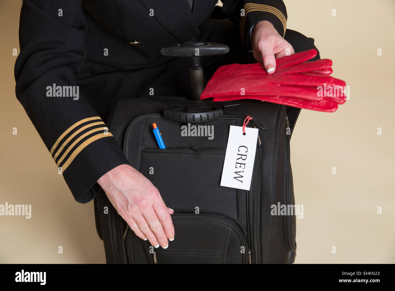 Jeppesen Student Flight Bag