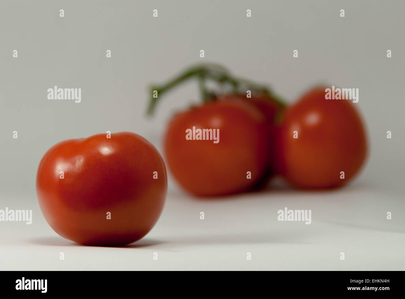 Single ripe plump Red Tomato backed by blurred grouping of three ...