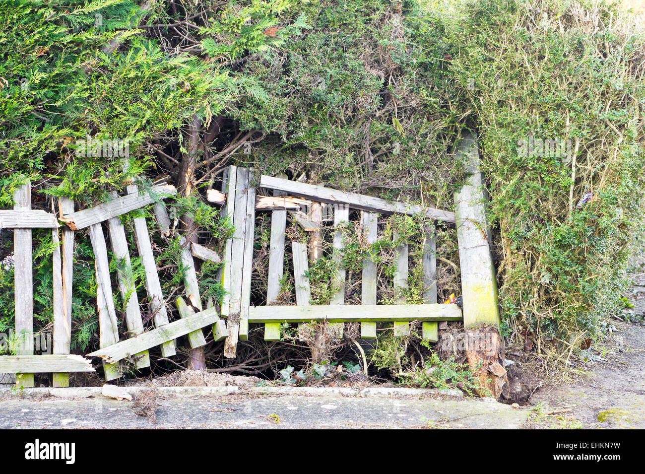 Part of a badly damaged wooden picket fence Stock Photo