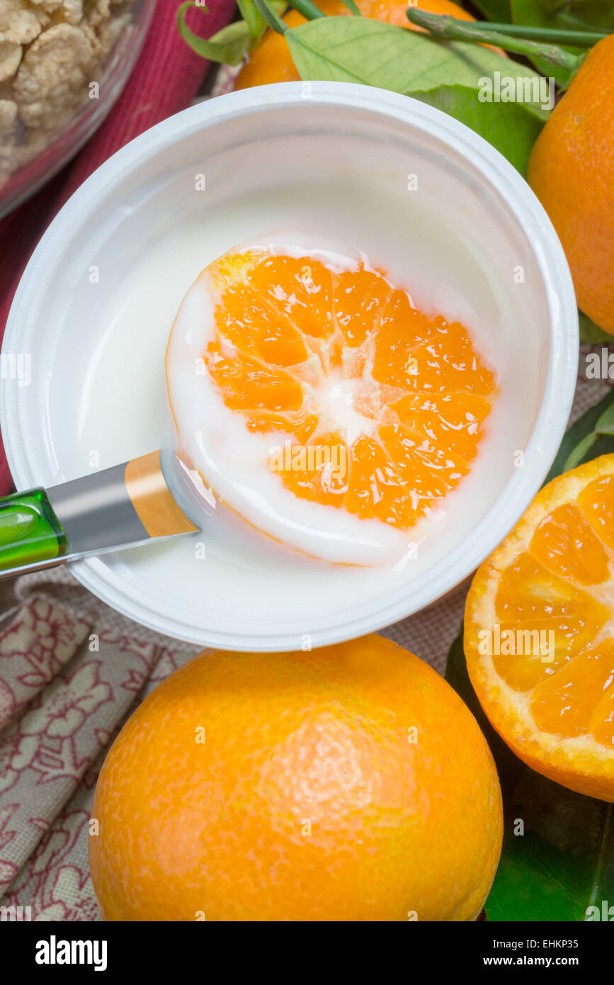Low-Fat Creamy Orange DessertMicrowave