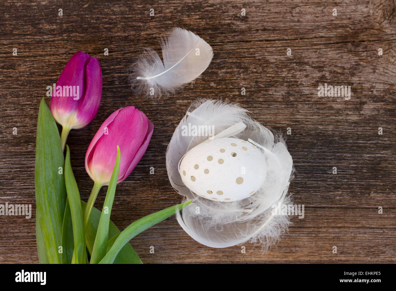 fresh tulips and easter egg Stock Photo - Alamy