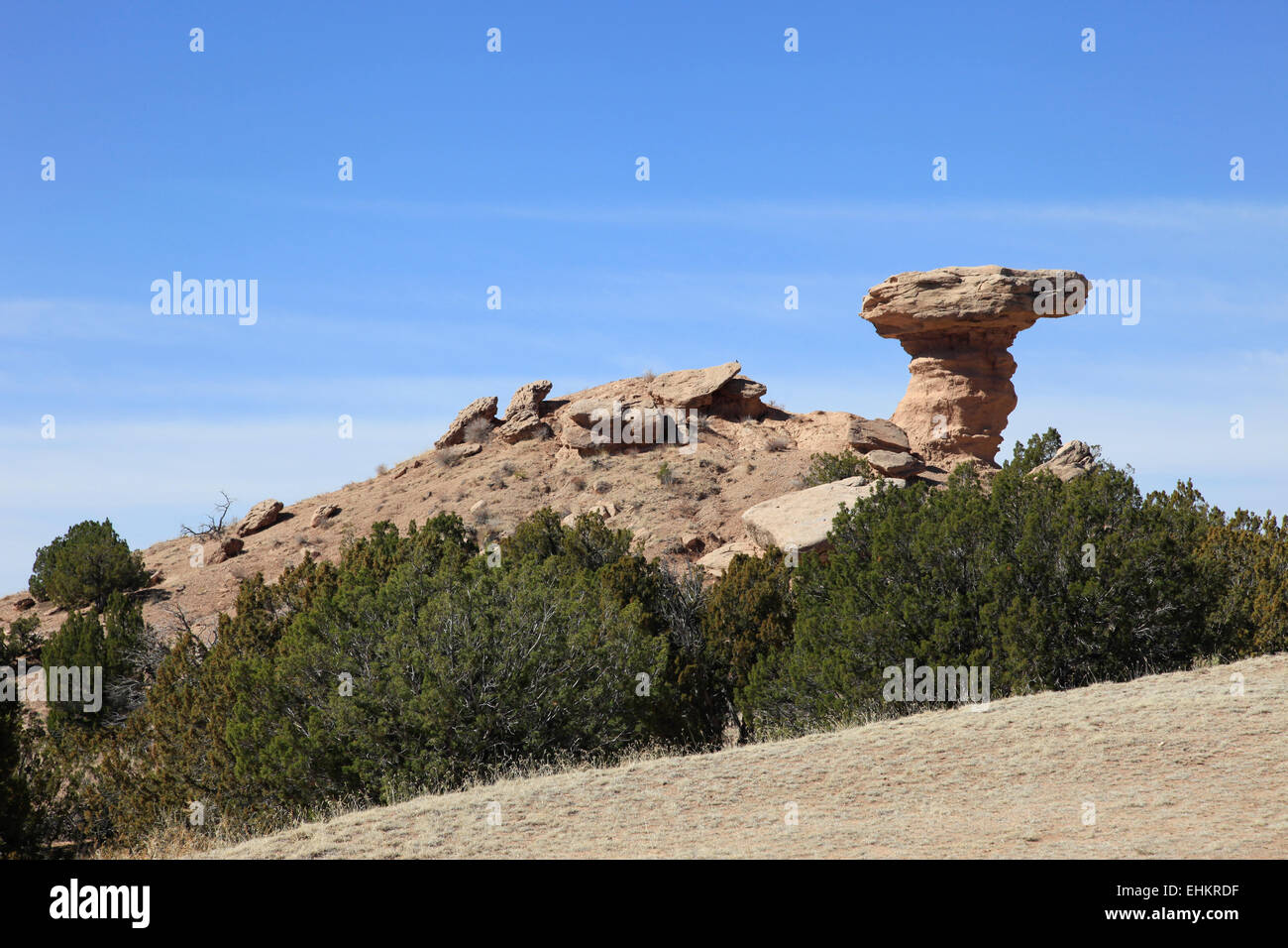 Camel Rock New Mexico USA Stock Photo Alamy