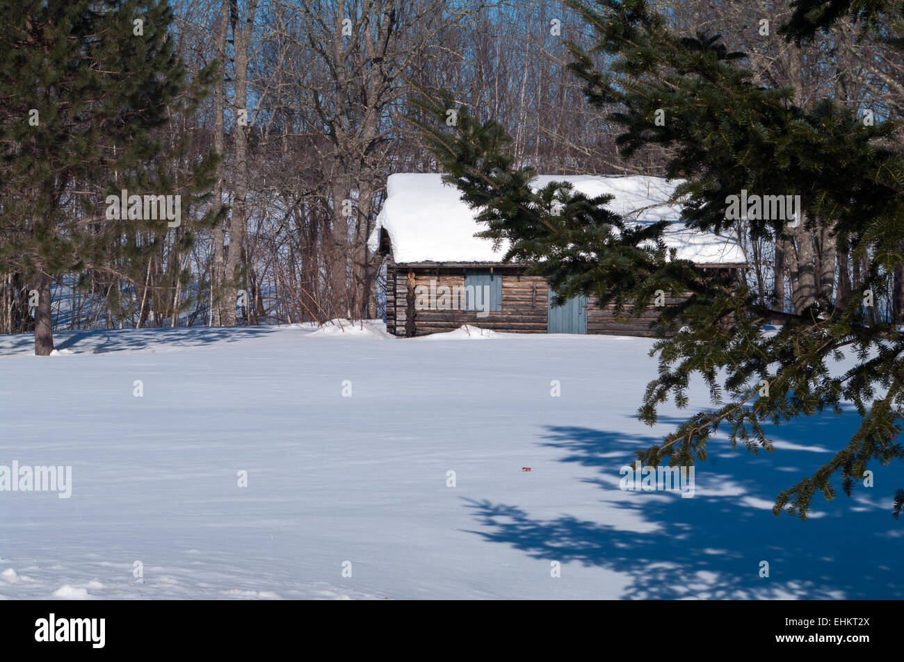 Winter forest log cabin hi-res stock photography and images - Alamy
