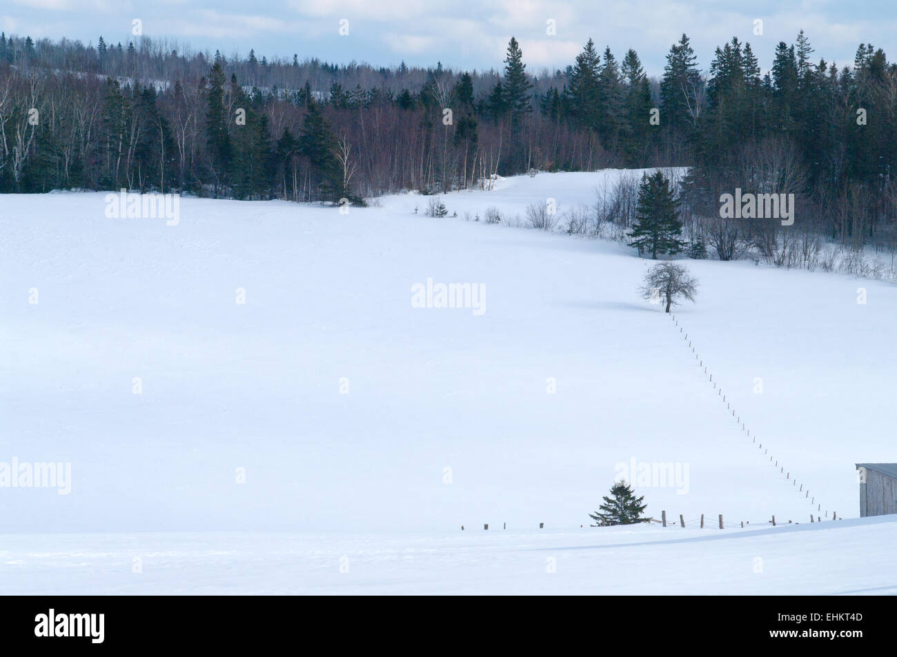 New brunswick winter scene hi-res stock photography and images - Alamy
