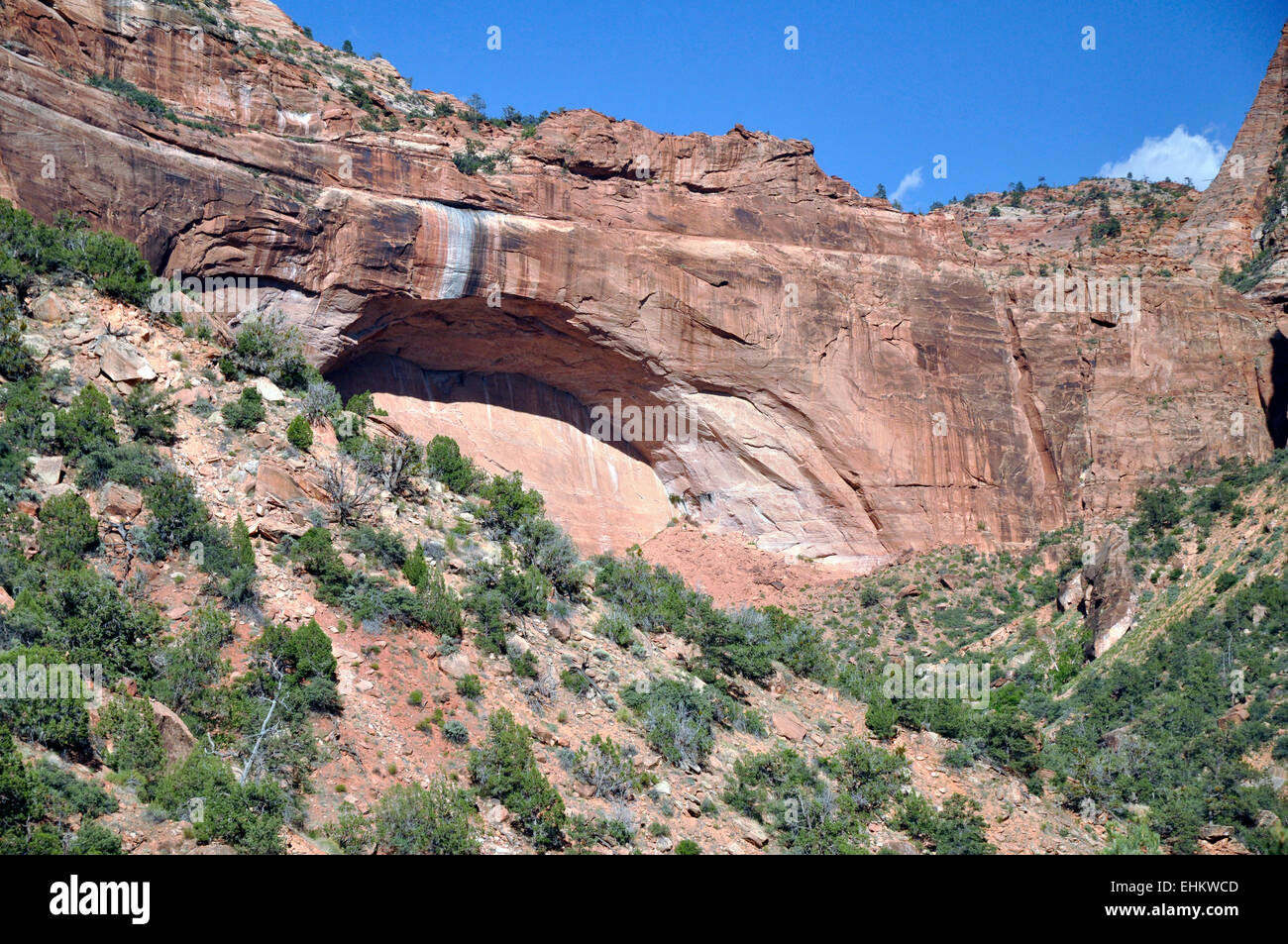 Natural Rock Arch in Zion National Park Stock Photo