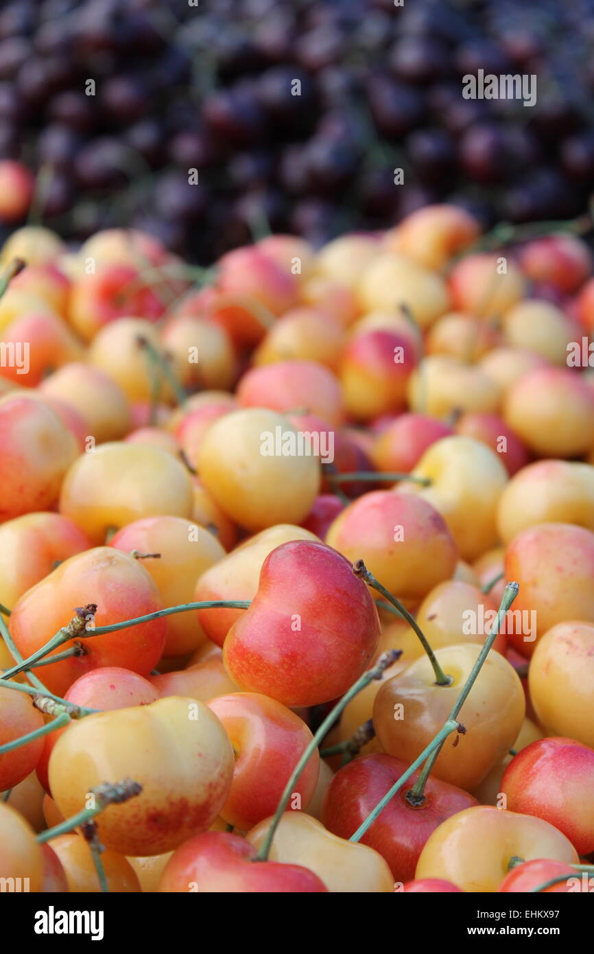 rainier and black cherries for sale at farmers market Stock Photo Alamy