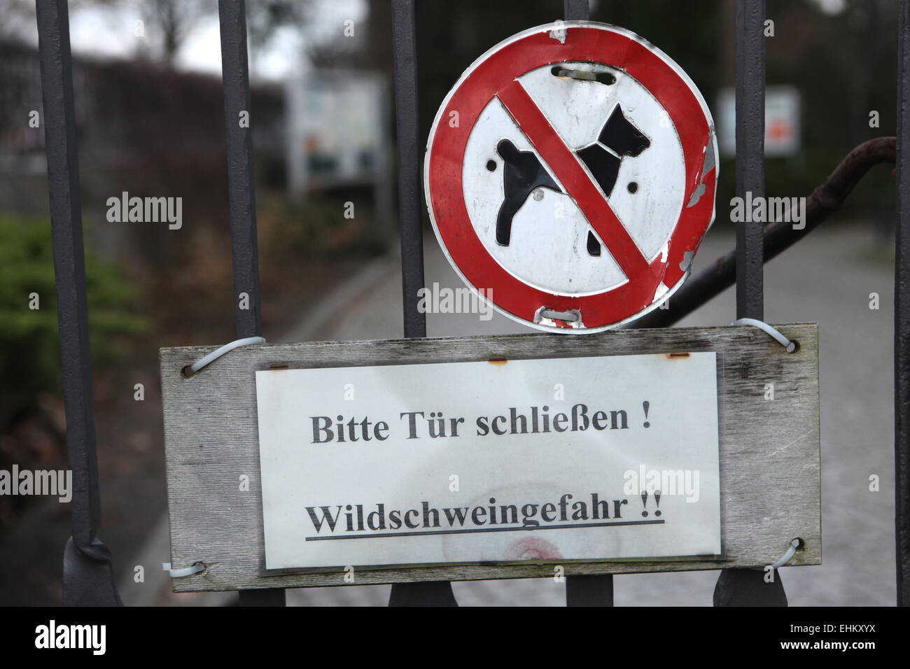 No Dogs Allowed! Old prohibition sign seen on the entrance gate of the Friedhof Heerstraße in Berlin, Germany. Stock Photo
