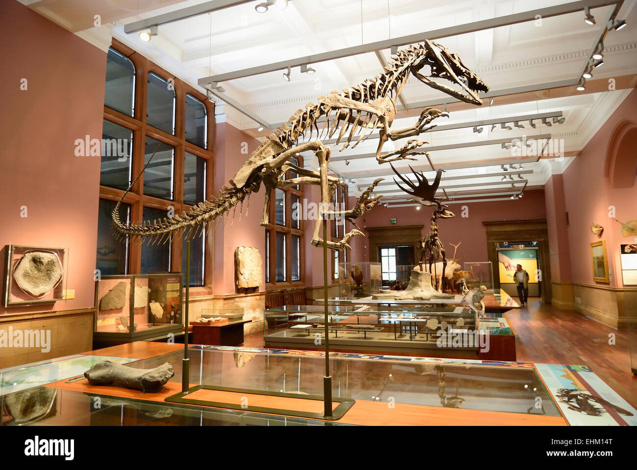 Glasgow. Kelvingrove Art Gallery and Museum Stock Photo