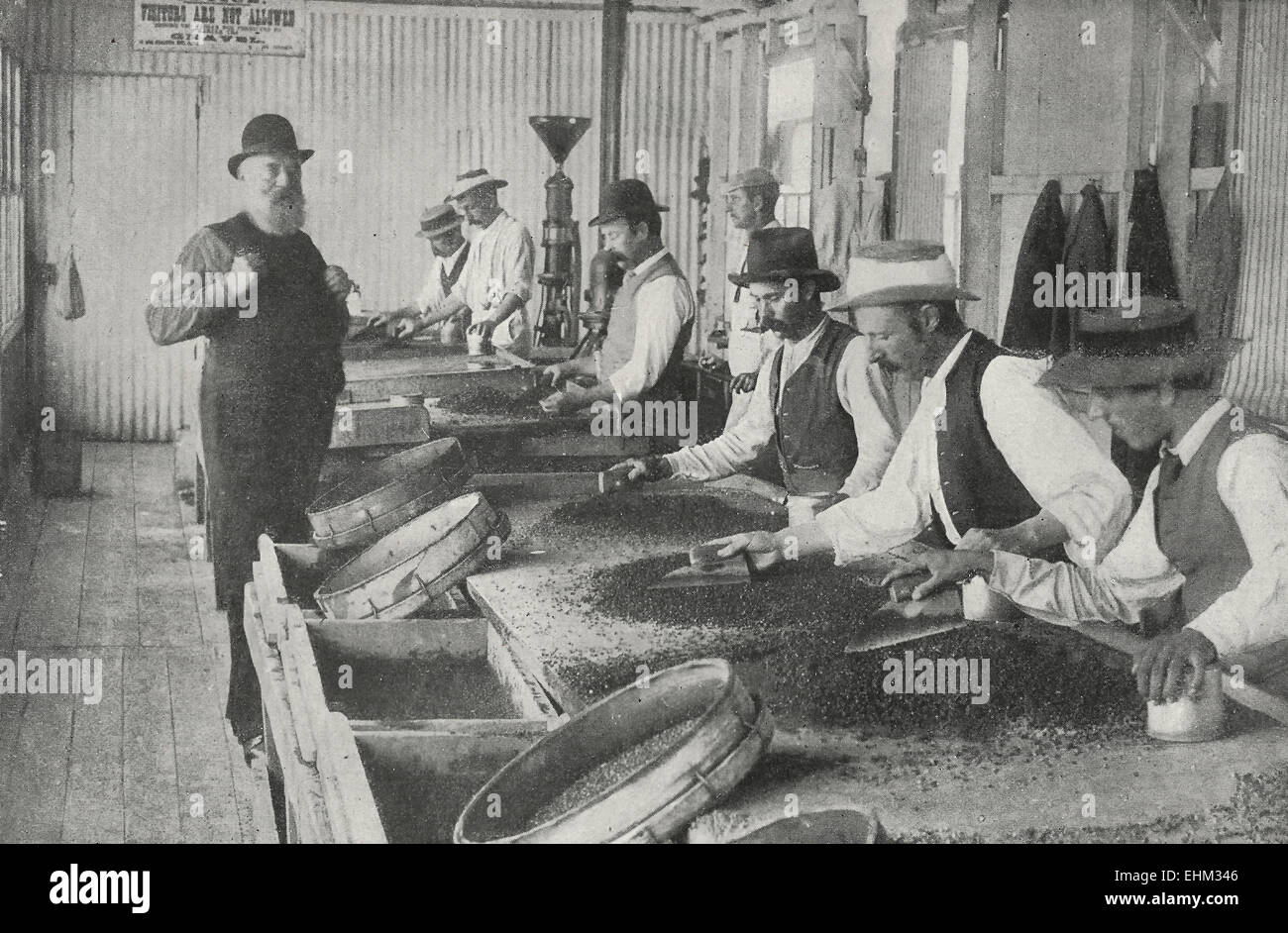 Sifting the Gravel for Diamonds - Kimberly Mines, South Africa, circa 1898 Stock Photo