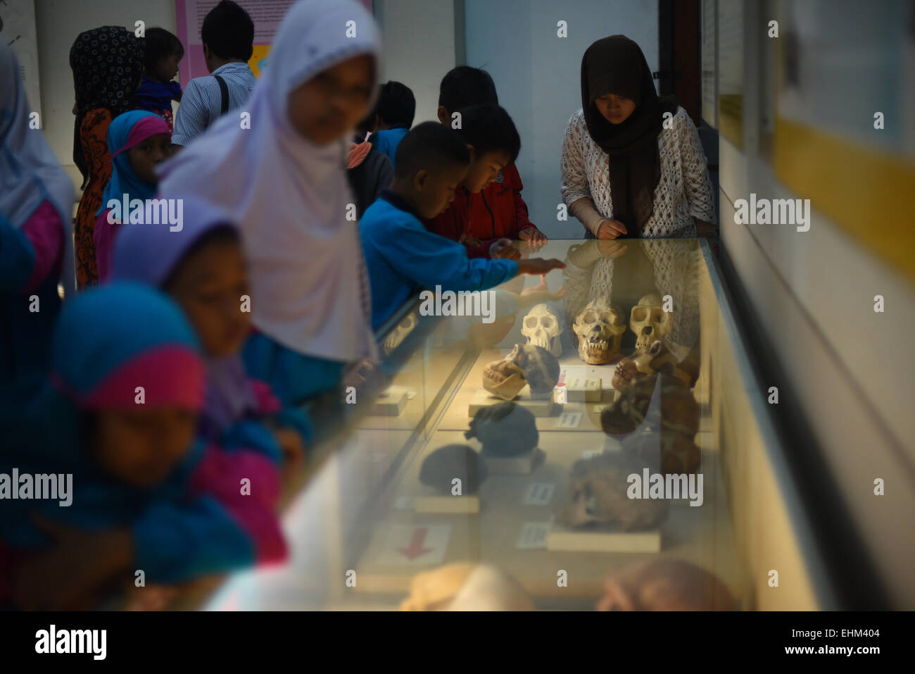 School pupils examining hominid skulls at Museum Geologi (Geology Museum) in Bandung, West Java, Indonesia. Stock Photo