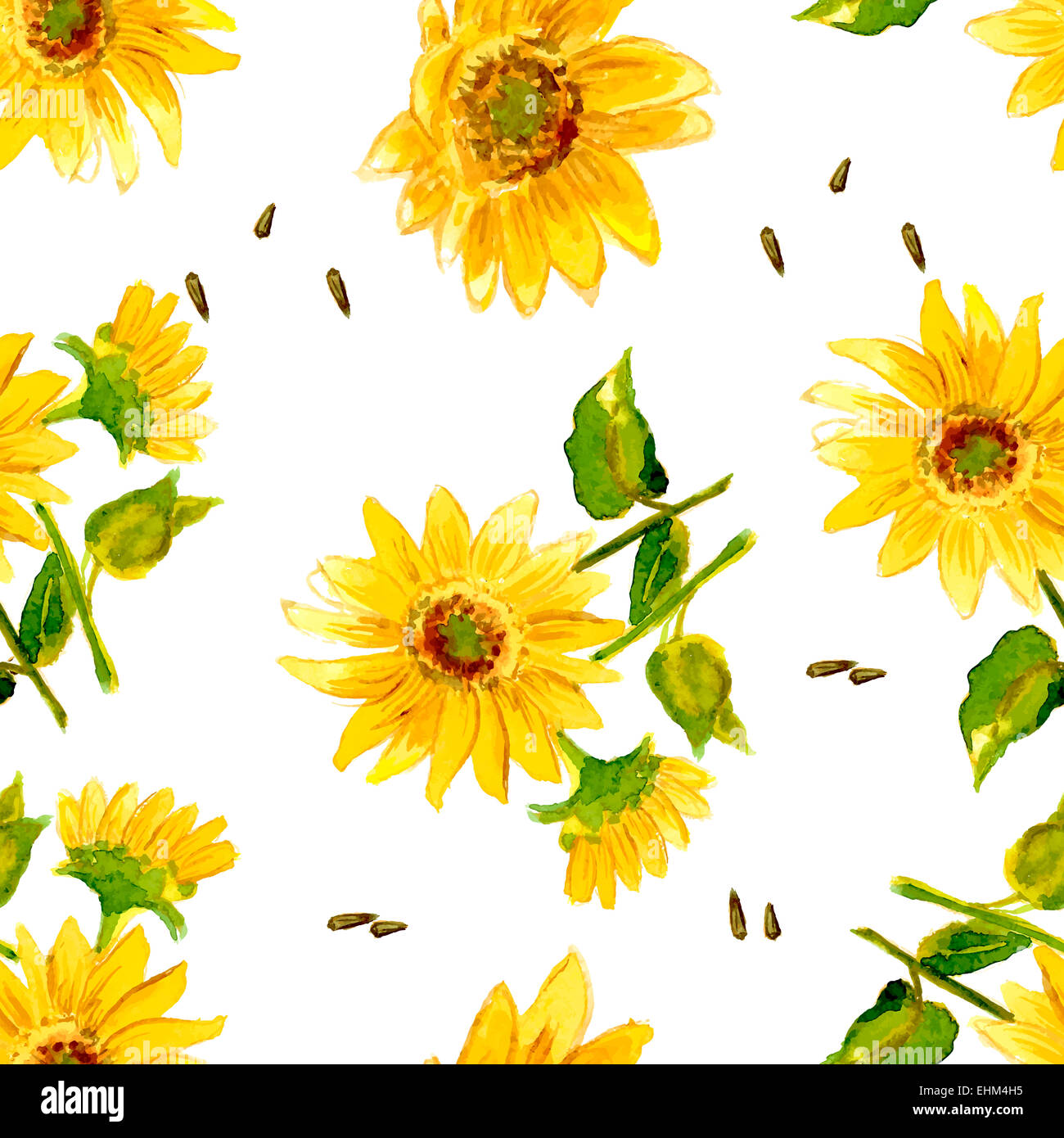 The Composition of Yellow Sunflower Painted in Watercolor for your ...