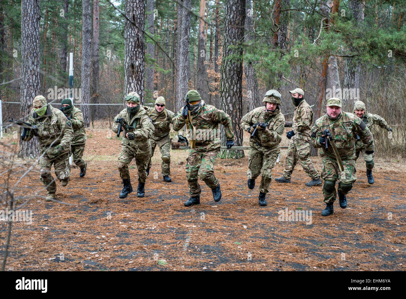 Kiev, Ukraine. 15th Mar, 2015. Volunteers and reserve soldiers are learning basics of military stances and moves at training center 'Patriot', Kyiv, Ukraine. 15 of March, 2015. Credit:  Oleksandr Rupeta/Alamy Live News Stock Photo