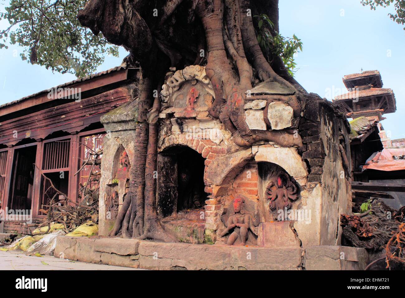 Hindu Tree shrine in Kathmandu, Nepal Stock Photo Alamy