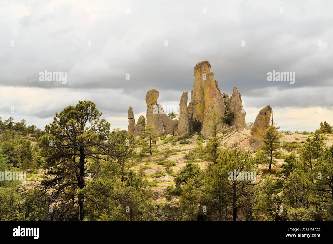 Chimney rock monoliths in Valley of the Monks, Creel, Mexico Stock Photo