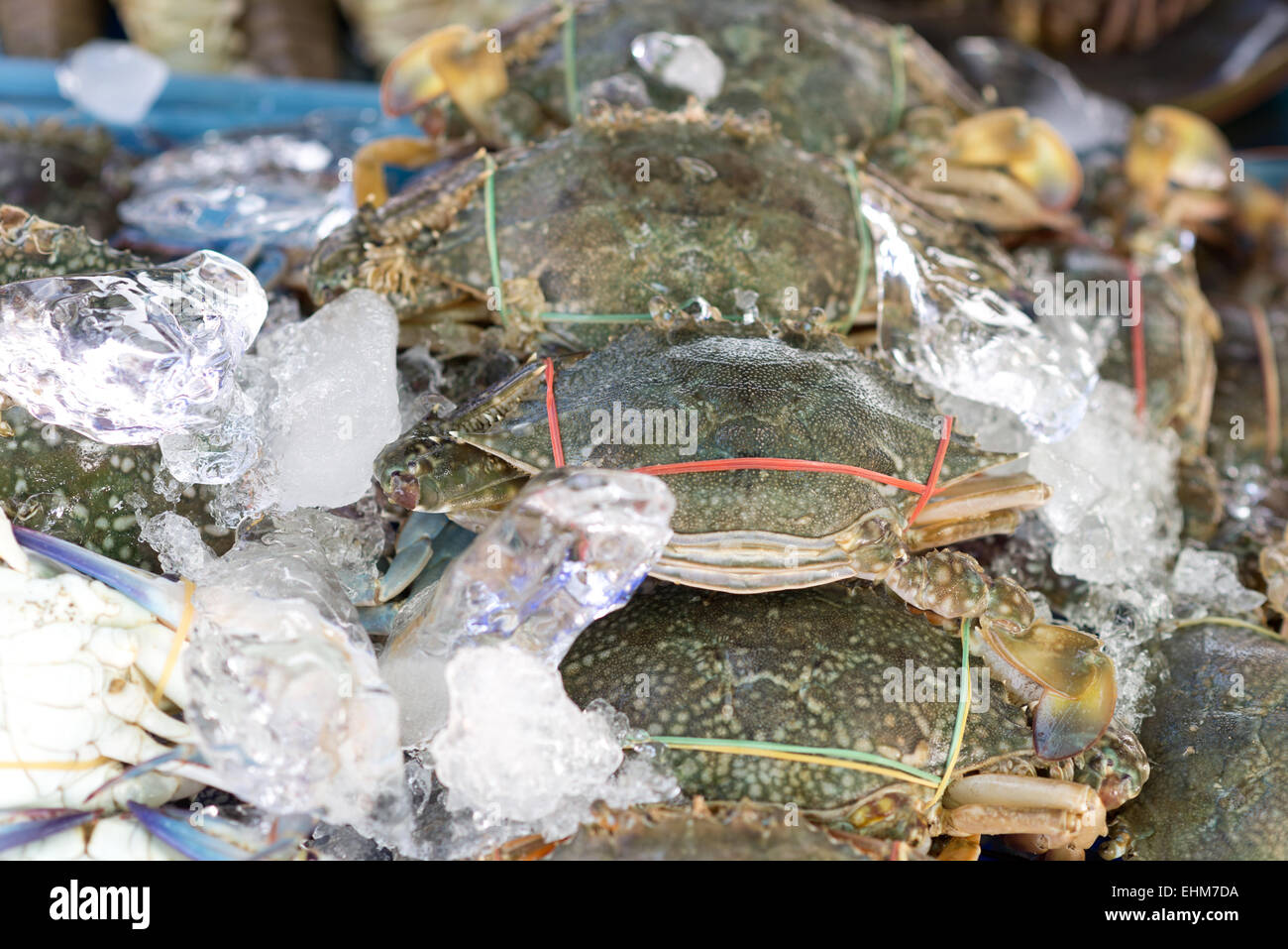 raw fresh crabs Stock Photo Alamy