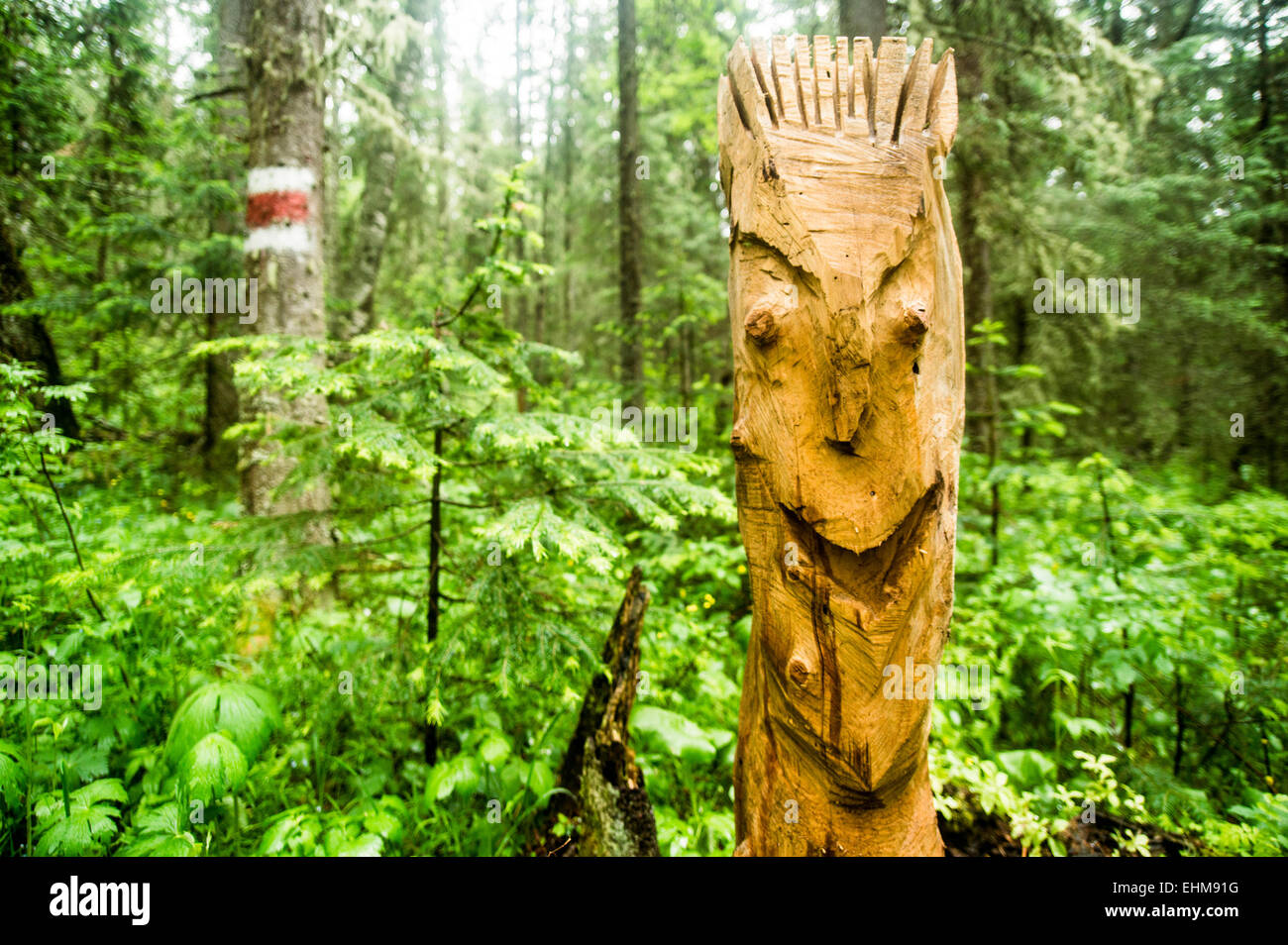 Close up of carved totem pole in forest Stock Photo