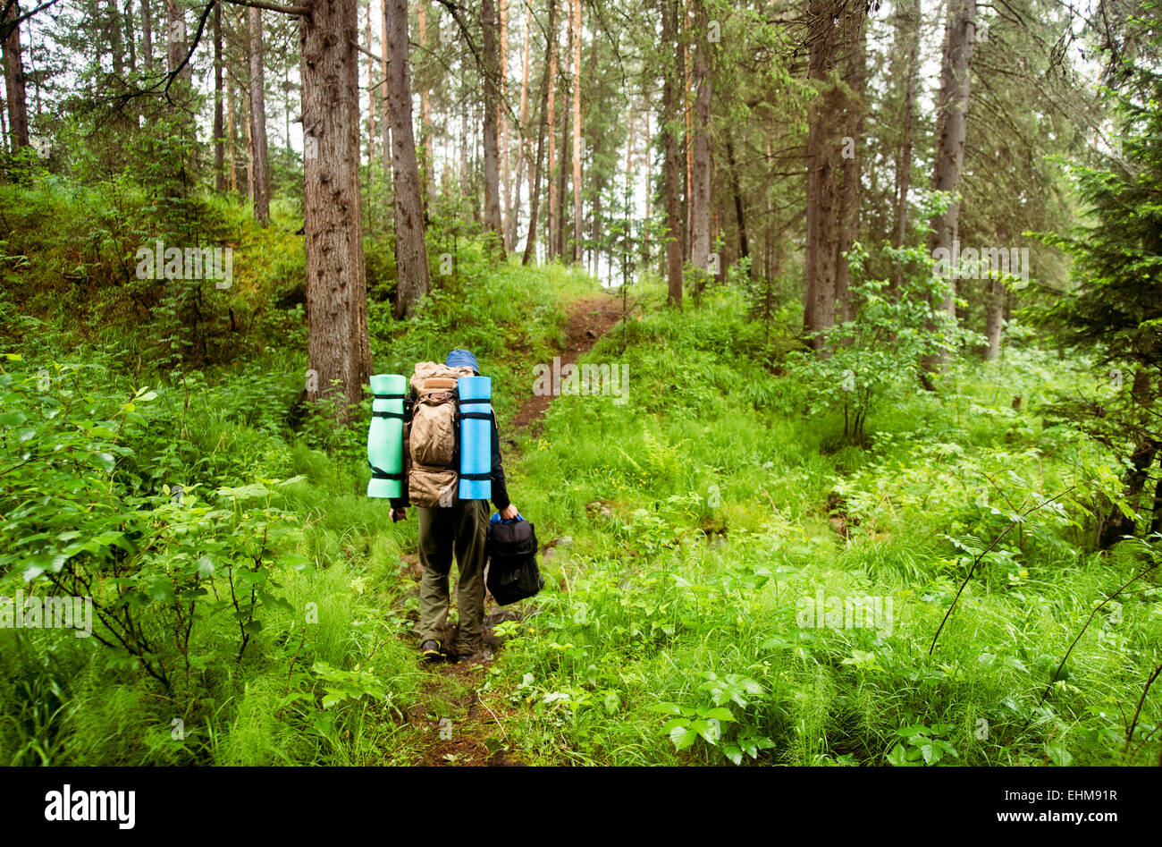 Caucasian hiker carrying backpack in forest Stock Photo Alamy