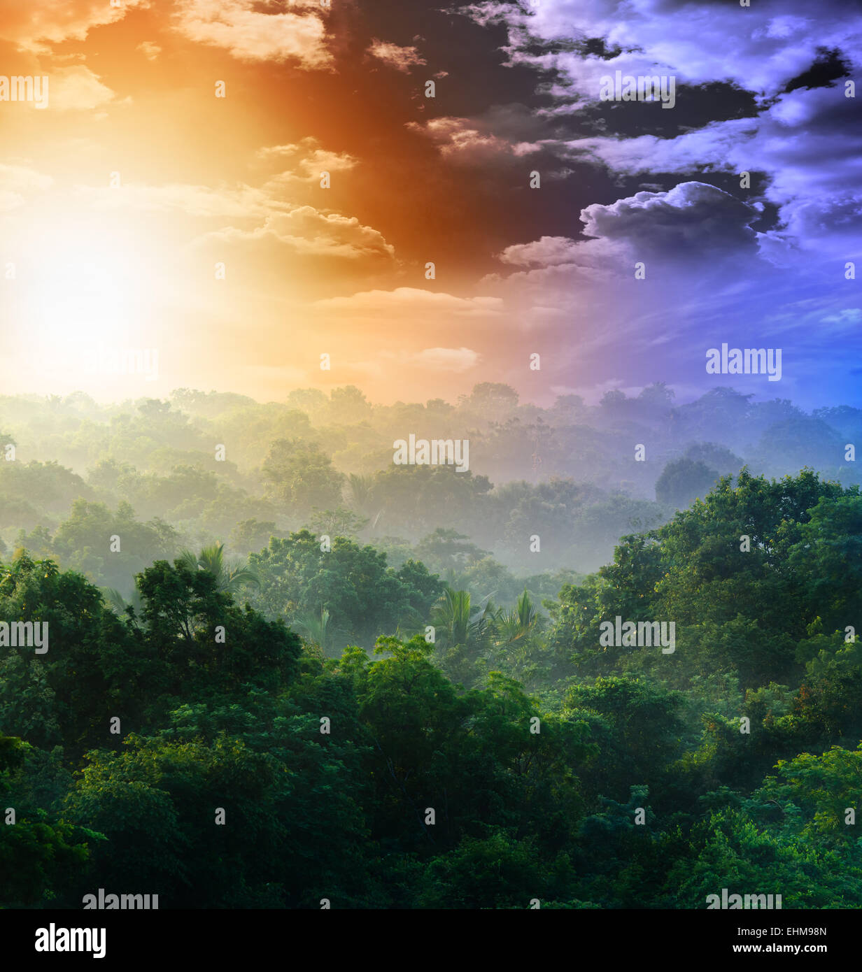 sunrise in the jungles of Sri Lanka Stock Photo