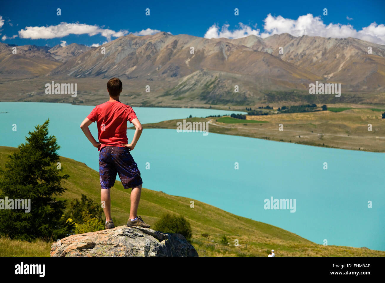 A young man looks out over Lake Tekapo, South Island, New Zealand, Model Released Stock Photo
