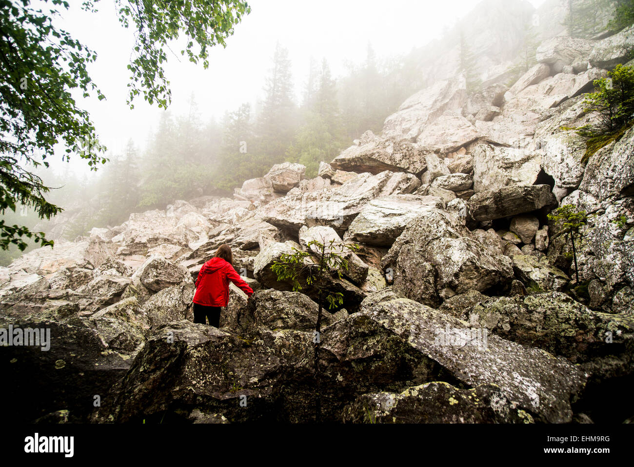 Rear view hiker climbing hi-res stock photography and images - Alamy