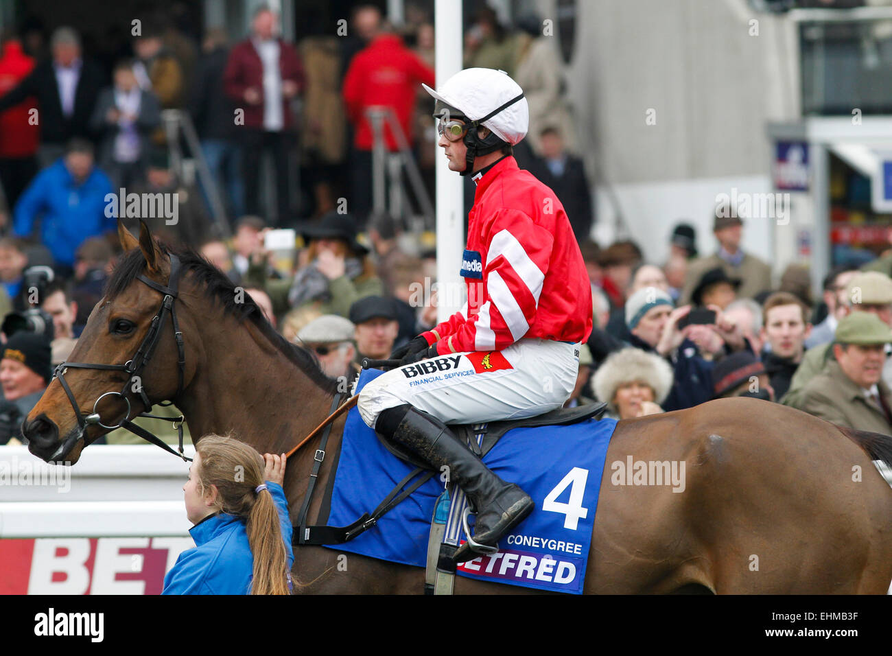 13.03.2015 - Cheltenham; Coneygree ridden by Nico de Boinville on their way to the start for the Betfred Cheltenham Gold Cup Chase Grade 1. Credit: Lajos-Eric Balogh/turfstock.com Stock Photo